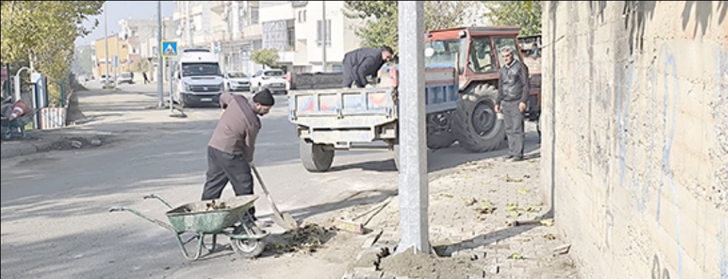 FEN LER ALIMALARINI SRDRYOR