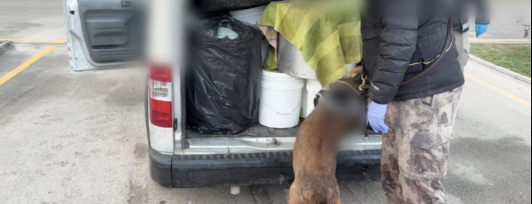 KIZARTMA YA�INDAN UYU�TRURUCU �IKTI