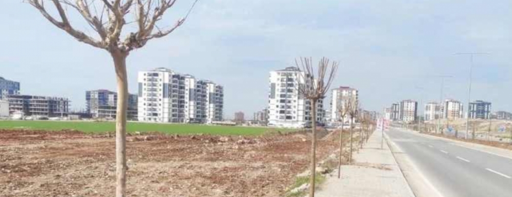 HASANKEYF YOLUNA YENİ AĞAÇLAR DİKİLİYOR