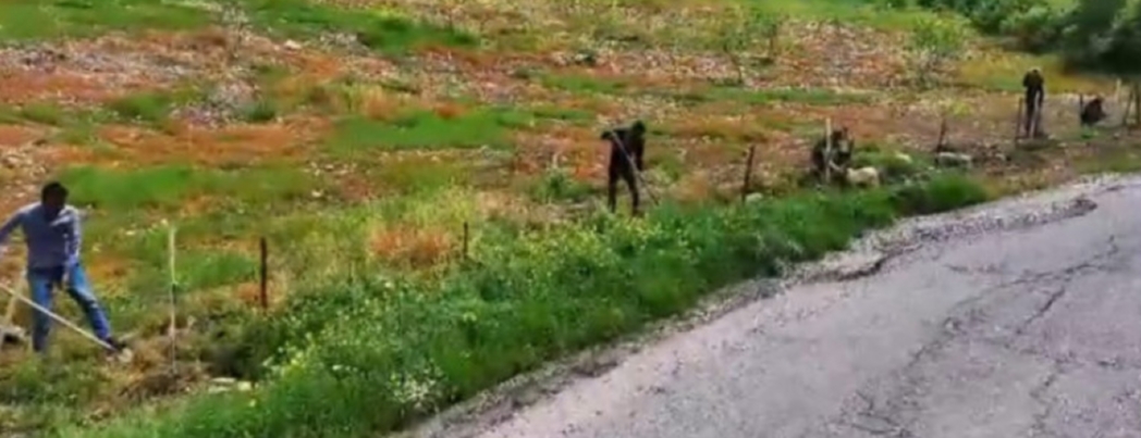 HASANKEYF'E YEŞİL DOKUNUŞ